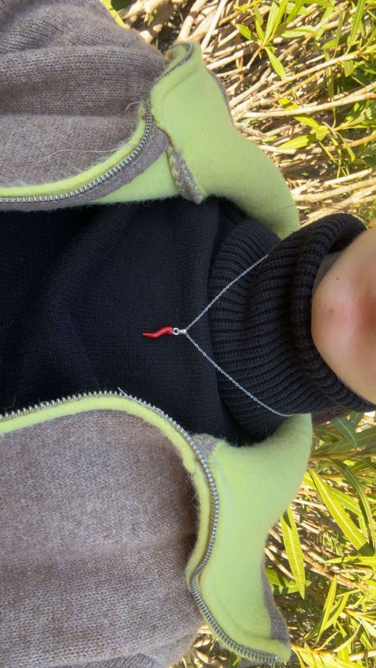 Collier piment - acier inoxydable argenté