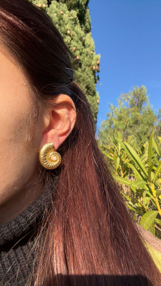 Boucles d’oreilles coquillage - acier inoxydable doré