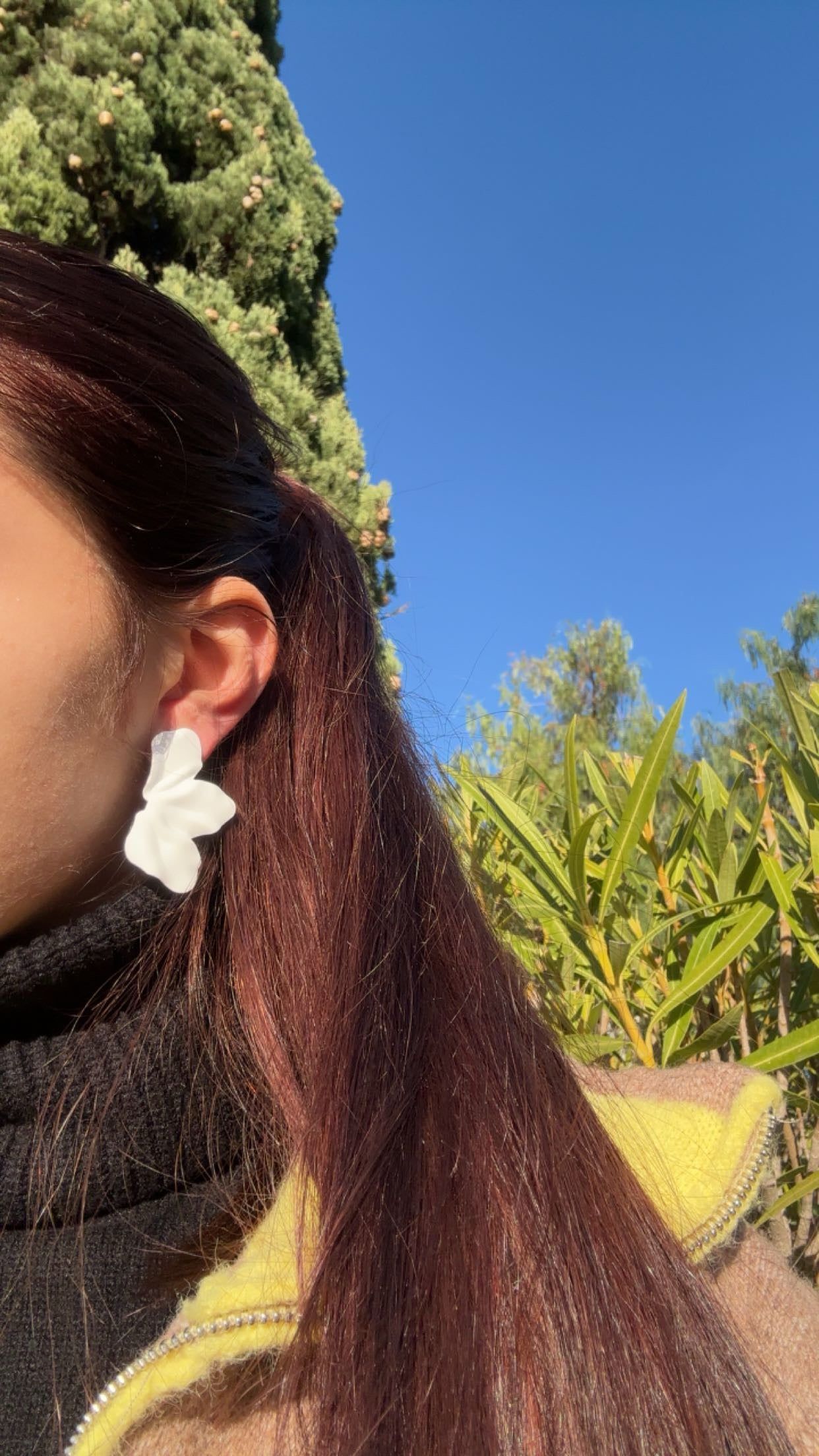 Boucles d’oreilles - fantaisie