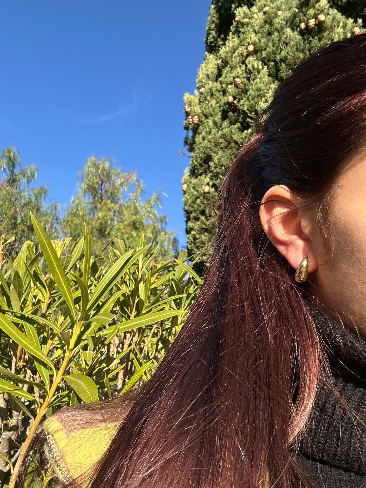 Boucles d’oreilles - acier inoxydable doré